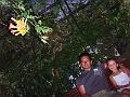 PIC00169