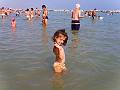 PIC00227