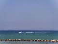 PIC00238