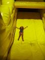 PIC00261