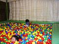 PIC00265