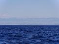 PIC00033