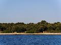 PIC00041