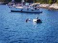 PIC00075