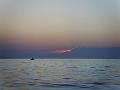 PIC00098