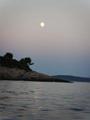 PIC00099