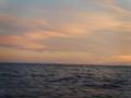 PIC00153