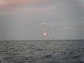 PIC00157