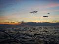 PIC00158