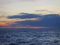 PIC00166