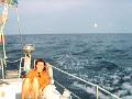PIC00175