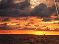 PIC00183
