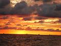 PIC00185