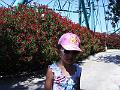 PIC00182