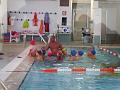 PIC00167