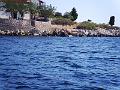 PIC00036
