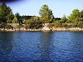 PIC00065