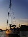 PIC00067