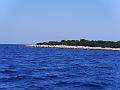 PIC00113