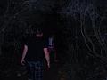 PIC00175