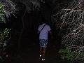 PIC00176