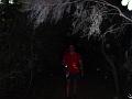 PIC00177