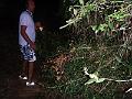 PIC00184