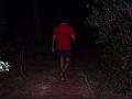 PIC00185
