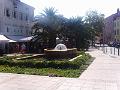 PIC00196