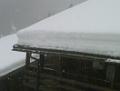 IMG00084-20090303-1430