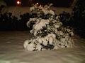 IMG00198-20100309-1924