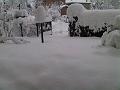IMG00199-20100310-0805