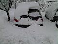 IMG00201-20100310-0820