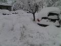 IMG00202-20100310-0820