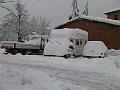 IMG00203-20100310-0821